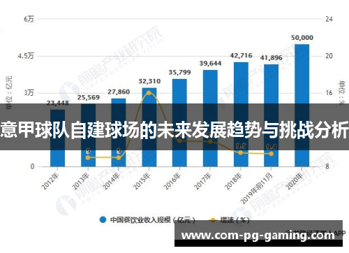 意甲球队自建球场的未来发展趋势与挑战分析