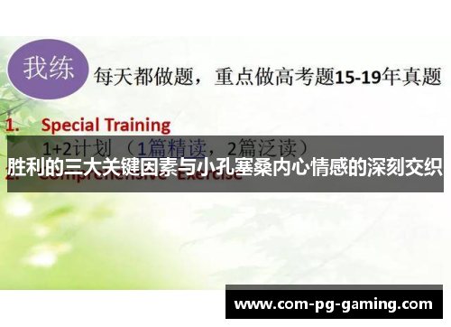 胜利的三大关键因素与小孔塞桑内心情感的深刻交织