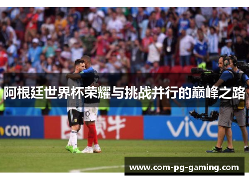 阿根廷世界杯荣耀与挑战并行的巅峰之路