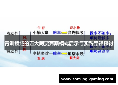青训领域的五大阿贾克斯模式启示与实践路径探讨