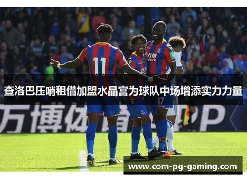 查洛巴压哨租借加盟水晶宫为球队中场增添实力力量