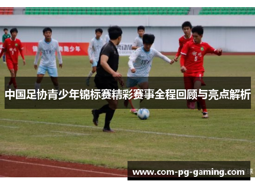 中国足协青少年锦标赛精彩赛事全程回顾与亮点解析