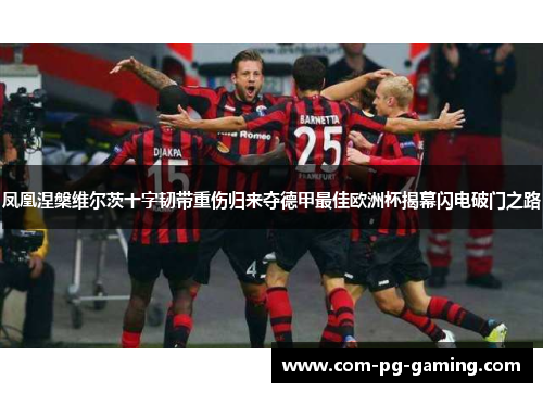 凤凰涅槃维尔茨十字韧带重伤归来夺德甲最佳欧洲杯揭幕闪电破门之路