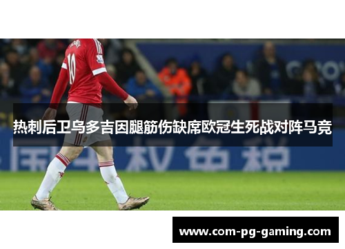 热刺后卫乌多吉因腿筋伤缺席欧冠生死战对阵马竞